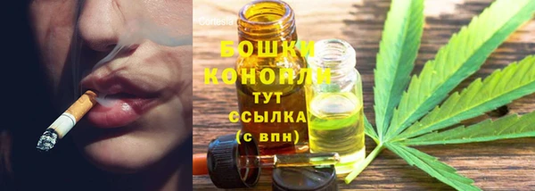spice Ельня
