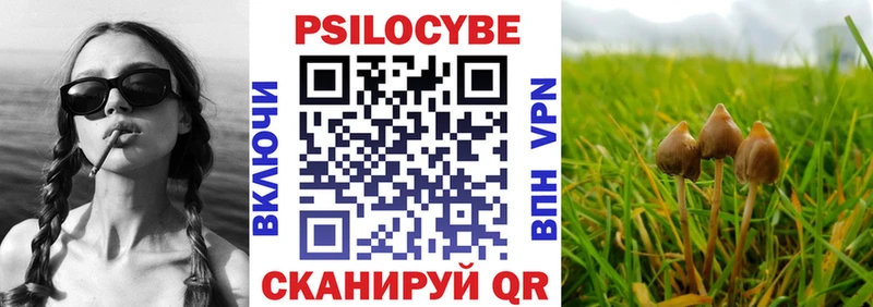 Галлюциногенные грибы мицелий  что такое   Неман 