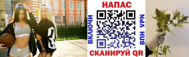 Конопля OG Kush  Неман 